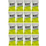 Rescue WHYTA - WHY Wasp/Hornet/Yellow Jacket Attractant (16 PACK)