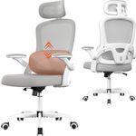 ORRSAKER Ergonomic Office Chair, High Back (Grey)