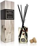 Urban Naturals Mountain Air Scented Fragrance Oil Reed Diffuser & Room Freshener | Golden Apples, Birch Wood, Fennel, Pear Eucalyptus, Mint & Aromatic Sage | Decorative Botanicals | Vegan | USA Made