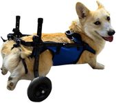 Two-Wheel Folding Dog Wheelchairs,A