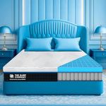The Sleep Company SmartGRID Ortho Hybrid Mattress | Japanese Patented Technology | Pocketed Spring | AIHA Certified Orthopedic Mattress | Hotel Like Comfort | 10 Year Warranty | King Size Bed 78x72x8