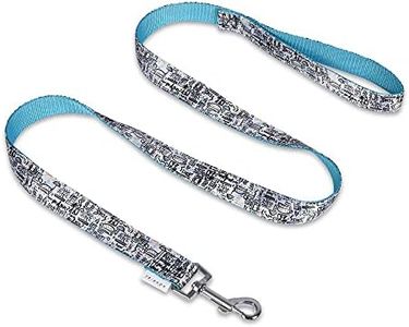 Friends the TV Show City Doodle Dog Leash, 6 Ft Dog Leash (72 Inches) | Cute Blue Dog Leash Easily Attaches to Any Dog Collar or Harness | Friends the TV Show 6 Foot Dog Leash for All Dogs