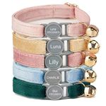 Cat Collars Quick Release Personalised with Name Tag and Phone Number Engraved for Kitten Puppy (Breakaway)