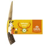 100% Natural Deer Antler Dog Chew Long Lasting Toy for Dogs, Size Small