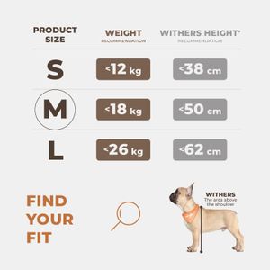 Wuglo Waterproof Dog Car Seat – Pet Booster for Cars