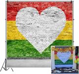 CSFOTO 8x8ft Background for Love Reggae on Brick Wall Photography Backdrop White Heart Shaped Yellow Green Red Colourful Striped Painted Wall Photo Studio Props Portrait Vinyl Wallpaper