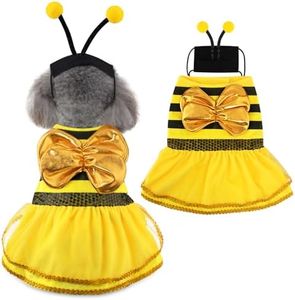 Dog Bee Co