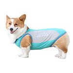 Dog Cooling Vest Breathable Dog Cooling Shirts Soft Summer Dog Shirts for Puppy Small Medium Large Dogs (9XL, Blue)