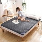 YXCMD Japanese Folding Tatami Mattress Mat, Single Double Japanese Futon Floor Mattress, Folding Bed Portable Camping Mattress, Floor Lounger Sofa Bed (Color : B, Size : Queen(150x200cm))