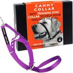 Canny Collar No-Pull Dog Collar - The Kind, Gentle Head Collar for Dogs| Dog Training Tool for Easier Dog Walking | Purple - Size 4