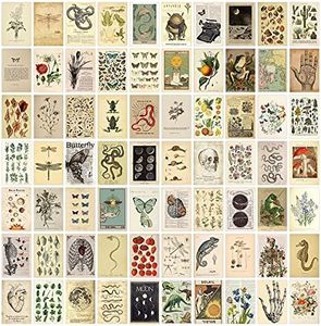 KOSKIMER 70PCS Vintage Wall Collage Kit Aesthetic Pictures, Cottagecore Room Decor for Bedroom, Cute Dorm Photo Posters for Teen Girls, Botanical Wall Art