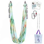 F.Life Aerial Yoga Hammock 5.5 yards Premium Aerial Silk Fabric Yoga Swing for Antigravity Yoga Inversion Include Daisy Chain,Carabiner and Pose Guide (Peacock Green)
