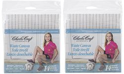 Waste Canvas 14ct 12in x 18in (2 Pack)