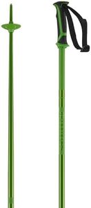 Salomon Arctic Ski Poles Green 125cm (50in)