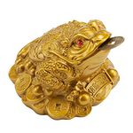 Wschic Feng Shui Money Frog, Lucky Money Toad Decorations,Ideal for Attracting Wealth （Yellow）