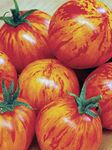 Tomato Amur Tiger ERA Seeds Vegetables Organic from Ukraine 0.15 Gram