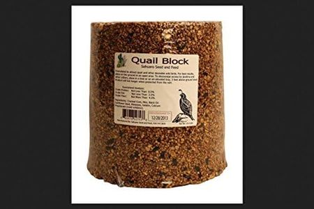 Quail Seed