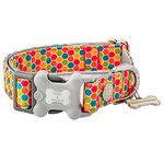 HUGO & HUDSON Nylon Dog Collar - Adjustable Pet Dog Collars with Quick Release Safety Clip Buckle - Sizes for Small Dogs, Medium, and Large Dog Breeds - Multi-Color Geometric - M