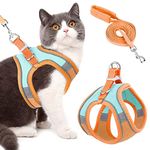 Cat Harnesses