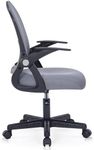 Ergonomic Office Chair with Lumbar 