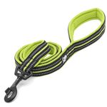 Truelove TRUE LOVE Dog Leash Puppy Walking Lead Pet Chain Padded Reflective Night Safe Rope Length 110cm TLL2111(Neon Yellow,M)