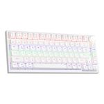 NEWMEN GM326 75% Mechanical Gaming Keyboard,Wird RGB blacklit TKL Keyboard (RED Switch-White KEYCAPS)