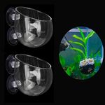 Ailindany 2PCS Crystal Glass Aquatic Plant Cup Pot Holder with Suction Cups for Fish Tank Aquarium Decor