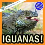 Iguanas!: A My Incredible World Picture Book for Children (My Incredible World: Nature and Animal Picture Books for Children)