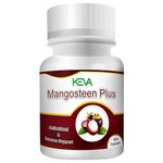 Mangosteen Plus 100 Tablets (Packt of 1)