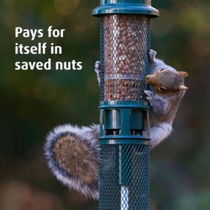 Jacobi Jayne Squirrel Buster Bird Feeder – Squirrel-Proof, Large Capacity