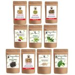 Manushya Life | 10 Variety of Seeds for Sprouting | Satvic Lifestyle | Combo of Alfalfa, clover, fenugreek, radish, Pak choi, broccoli, mustard, Sunflower, beetroot, peas | 450 Grams