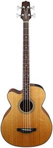 Takamine G