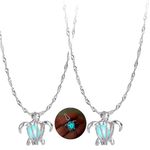 ANMUXI 2 Pack Glow In The Dark Turtle Necklace for Women Can Open Turtle Pendant for Christmas Gifts