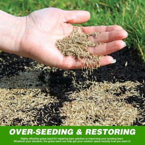 GroundMaster Premium Lawn Grass Seed 1.5kg – Hard Wearing, Fast Germination, Pet-Friendly, Covers 90m²