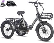 Fafrees F20 Mate E Bike Tricycle, 2