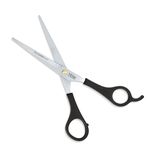 VEGA PROFESSIONAL Pro Barber Cut 6.5" Academy Line Hairdressing Scissor(Vpvsc-32), Multicolor