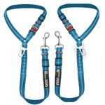 Comfortable Dog Seat Belt Harness for Car - 2-in-1 Leash and Restraint Secures to Headrest. Adjustable Bungee, Strong, Durable, 360 Degree Swivel Attach Won't Twist, Reflective, Easy to Use (Blue)