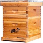 MayBee Bee Hive 10 Frame Hives and 