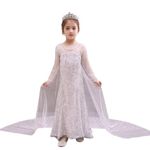 FancyDressWale Girls Princess dress and accessories for Girls birthday (White Princess, 10-12 years)