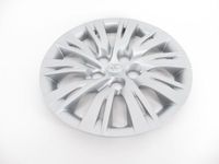 Genuine Toyota (42602-06101) 16" Wheel Cover
