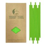 Spring Green Paper Drinking Straws - 100% Disposable Green Paper Drinking Straws for Cake Pop Sticks DIY Crafts Party Supplies - 19.7 cm / 7.75 in, Box of 100