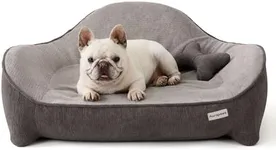 Aurapaws Orthopedic Dog Bed Medium Size Dogs - One-Piece Molded Support Foam™ Comfort Never Sag Dog Couch Sofa with 3 Washable Removable Covers & Bone Toy, Waterproof Liner, Nonskid Bottom, Grey, 36"