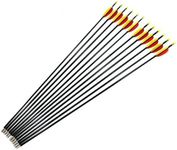 Archery Fibreglass Arrows set of 6x