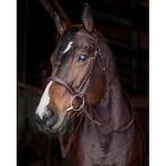 Bello-Equine English Leather Fancy Stitch Horse Bridles (EXTRA FULL/OVERSIZE)