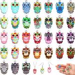 Hicarer 62 Pieces Halloween Owl Ena