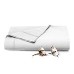 Pizuna Cotton King Size Flat Sheet White 1 PC, 400 Thread Count 100% Long Staple Combed Cotton Sateen Weave Soft King Flat Sheet (White King Flat Sheet Only)