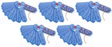 LEARNING WRAP-UPS SELF-CORRECTING US States & Capitals Keys 5 Pack