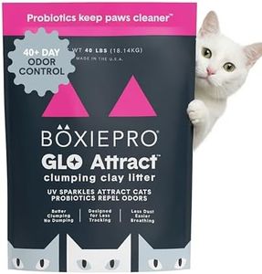 Boxie Glo