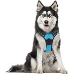 rabbitgoo Dog Harness Large Dog No Pull Pet Harness with 2 Leash Clips, Adjustable Soft Padded Pet Vest Harness, Reflective No-Choke with Easy Control Handle for Training or Walking, Baby Blue, XL