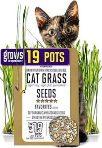 CAT Grass 